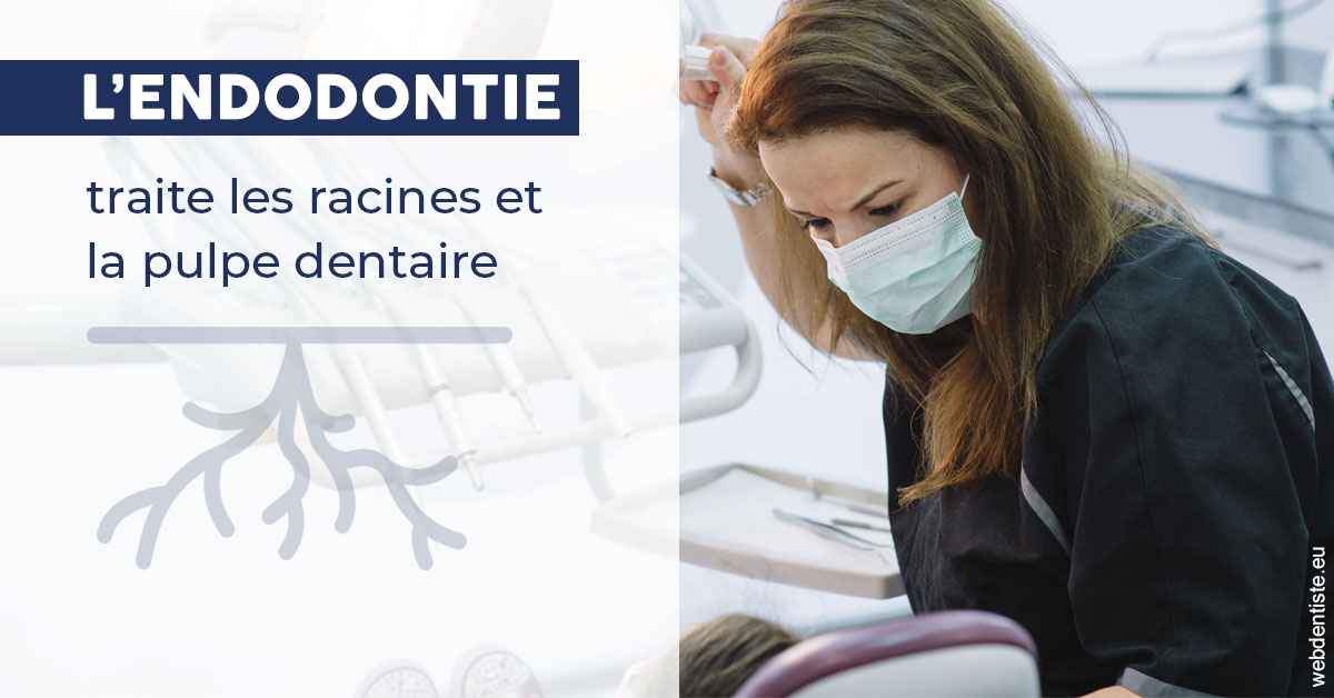 https://www.dr-christophe-carrere.fr/L'endodontie 1