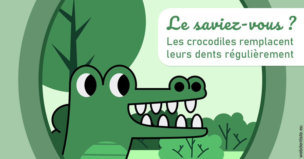 https://www.dr-christophe-carrere.fr/Crocodiles 2