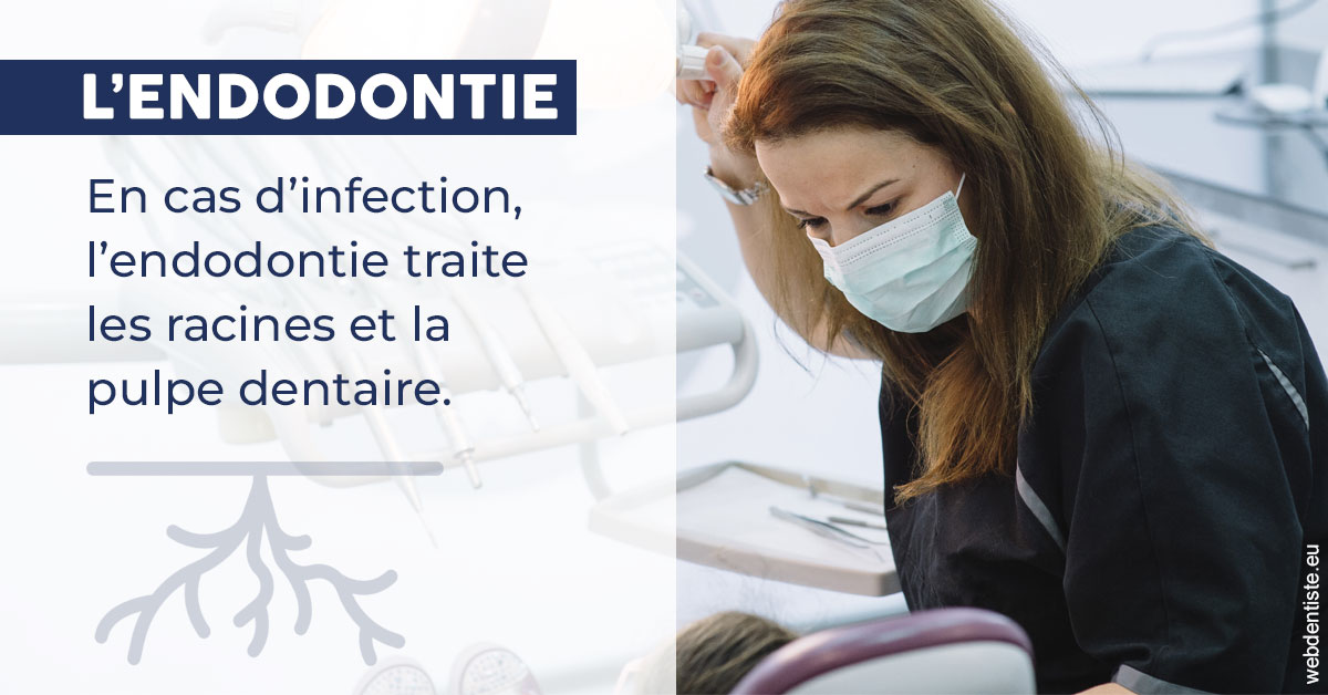 https://www.dr-christophe-carrere.fr/L'endodontie 1