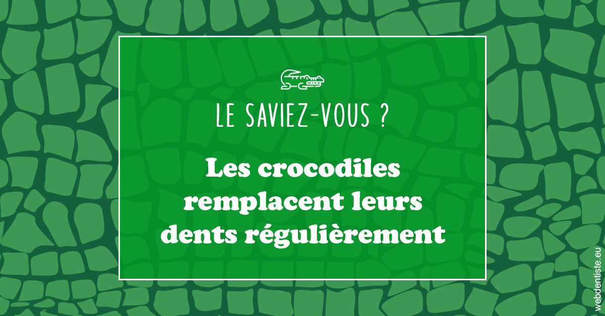 https://www.dr-christophe-carrere.fr/Crocodiles 1